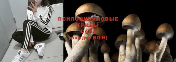 скорость Кукмор